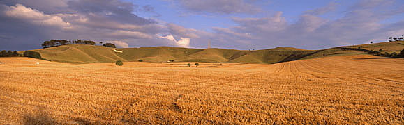 Cherhill Horse