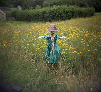 Scarecrow