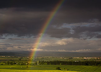Rainbow