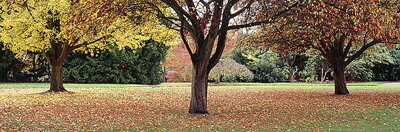 Tatton Hall, Cheshire Tatton Hall, Cheshire