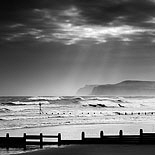 Monochrome