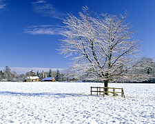 Longparish Longparish