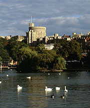 Royal Windsor Royal Windsor