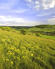 Turville Valley Turville Valley