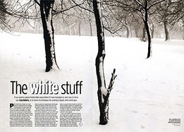 The White Stuff The White Stuff