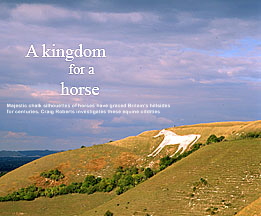 A kindom for a horse