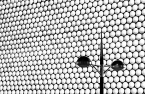 Selfridges