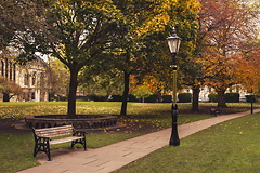 Click for more details...