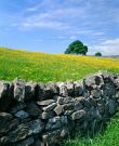 Lathkill Dale