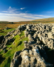 Ribblehead Viaduct