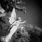 Pointing to the heavens