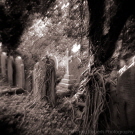 Highgate Cemetery