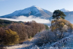 Highlands