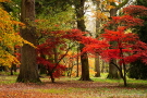 Thorpe Perrow