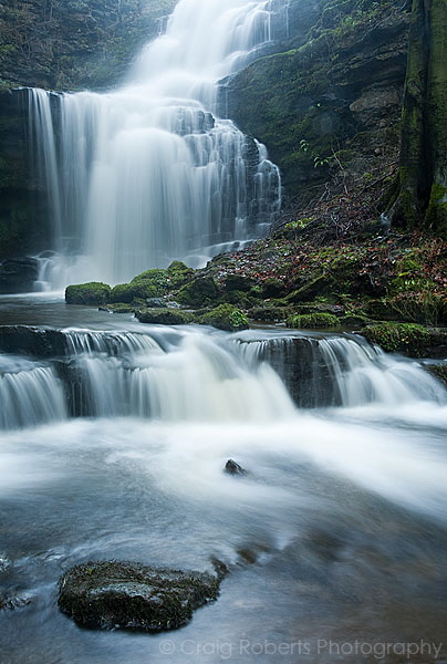 Scalebor Force