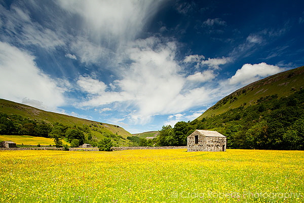 Buttercup Meadows