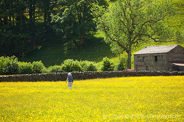 Buttercup Meadows