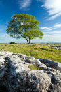 Malham Cove