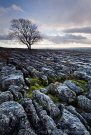 Malham Cove