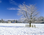 Longparish
